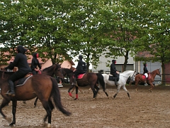PO 2008 (46)